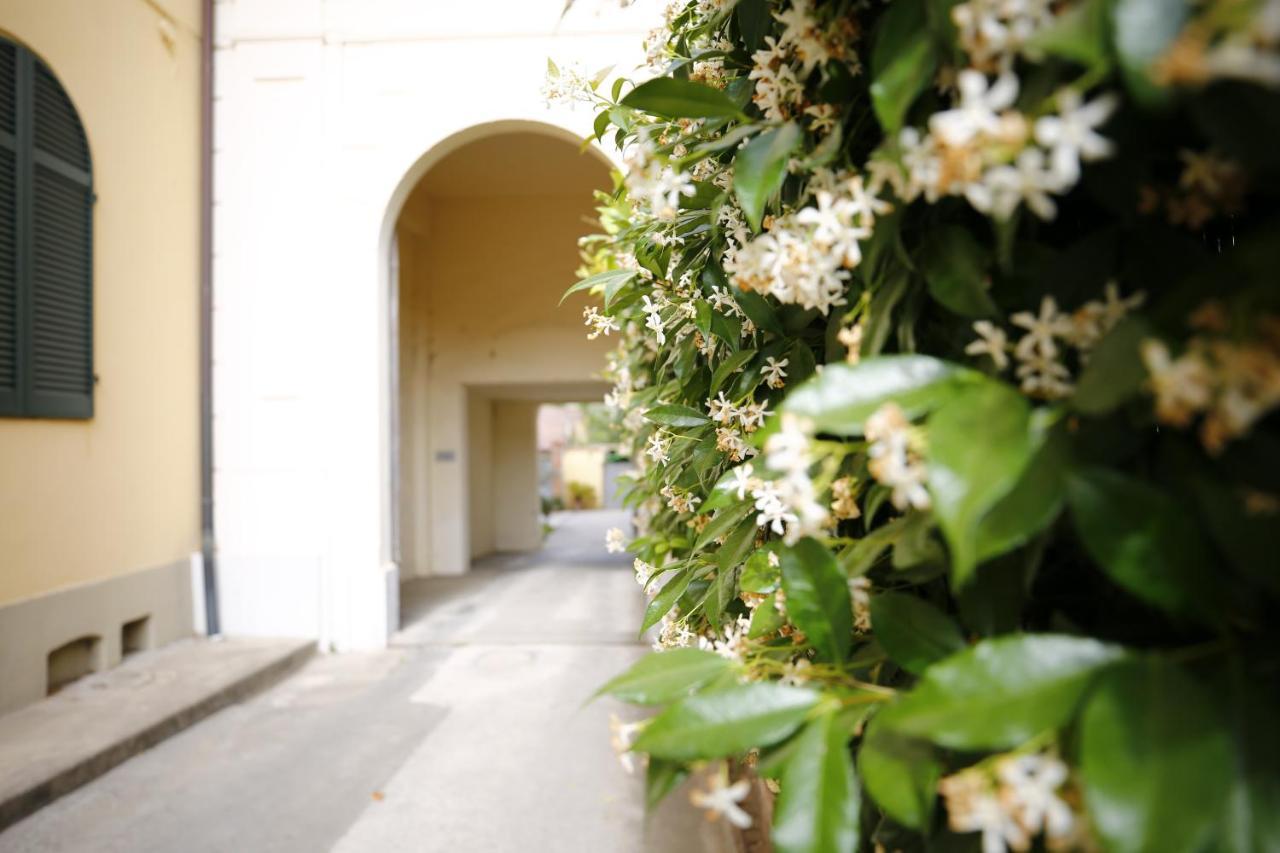 Lungarno Buozzi 7 Apartments ピサ エクステリア 写真