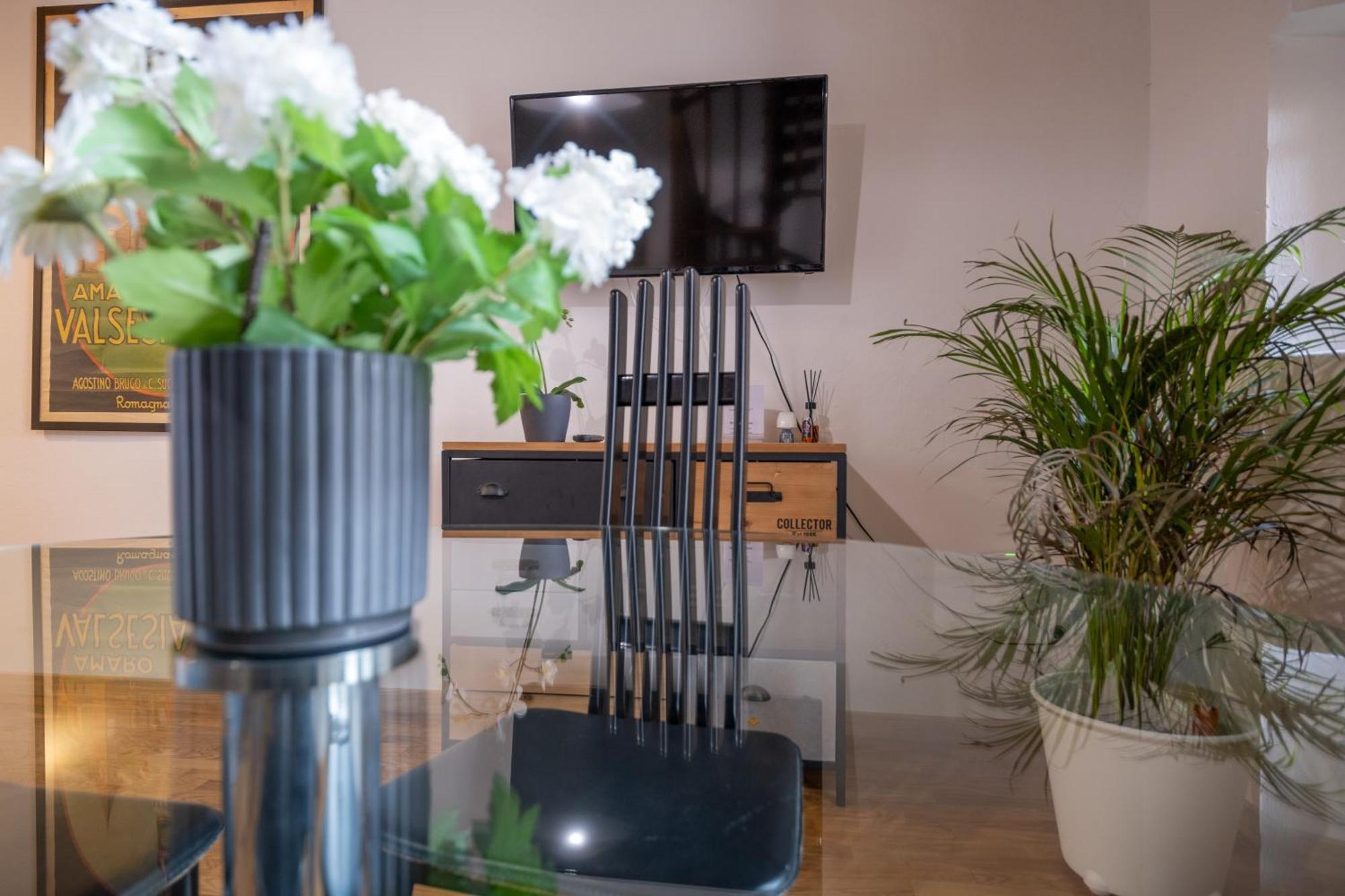 Lungarno Buozzi 7 Apartments ピサ エクステリア 写真